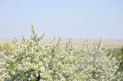 Fertőparti faluban meseszép panzió